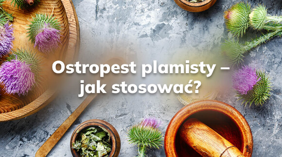 Ostropest plamisty - jak stosować?