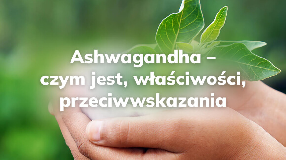 Ashwagandha - co to jest i jakie ma właściwości?